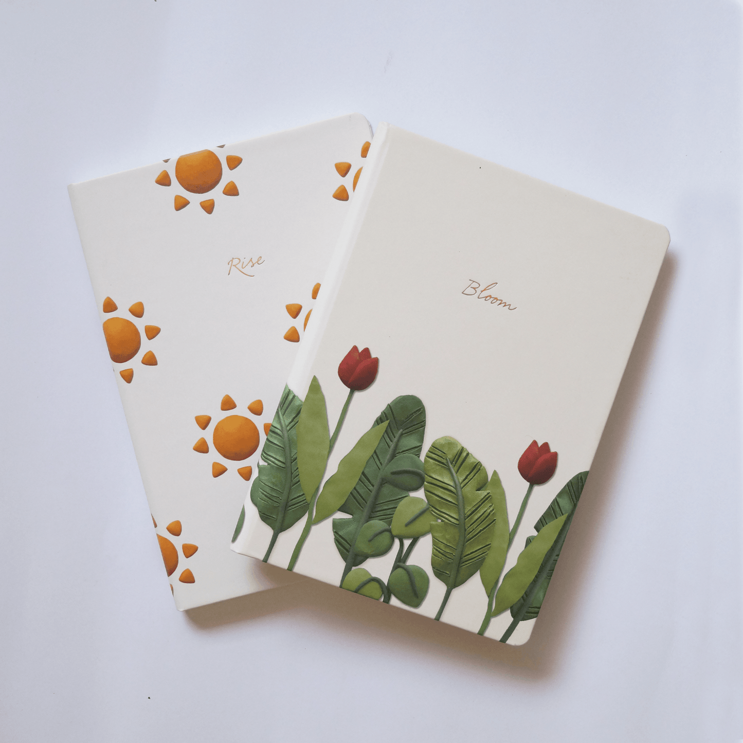 Mind Matters Bundle