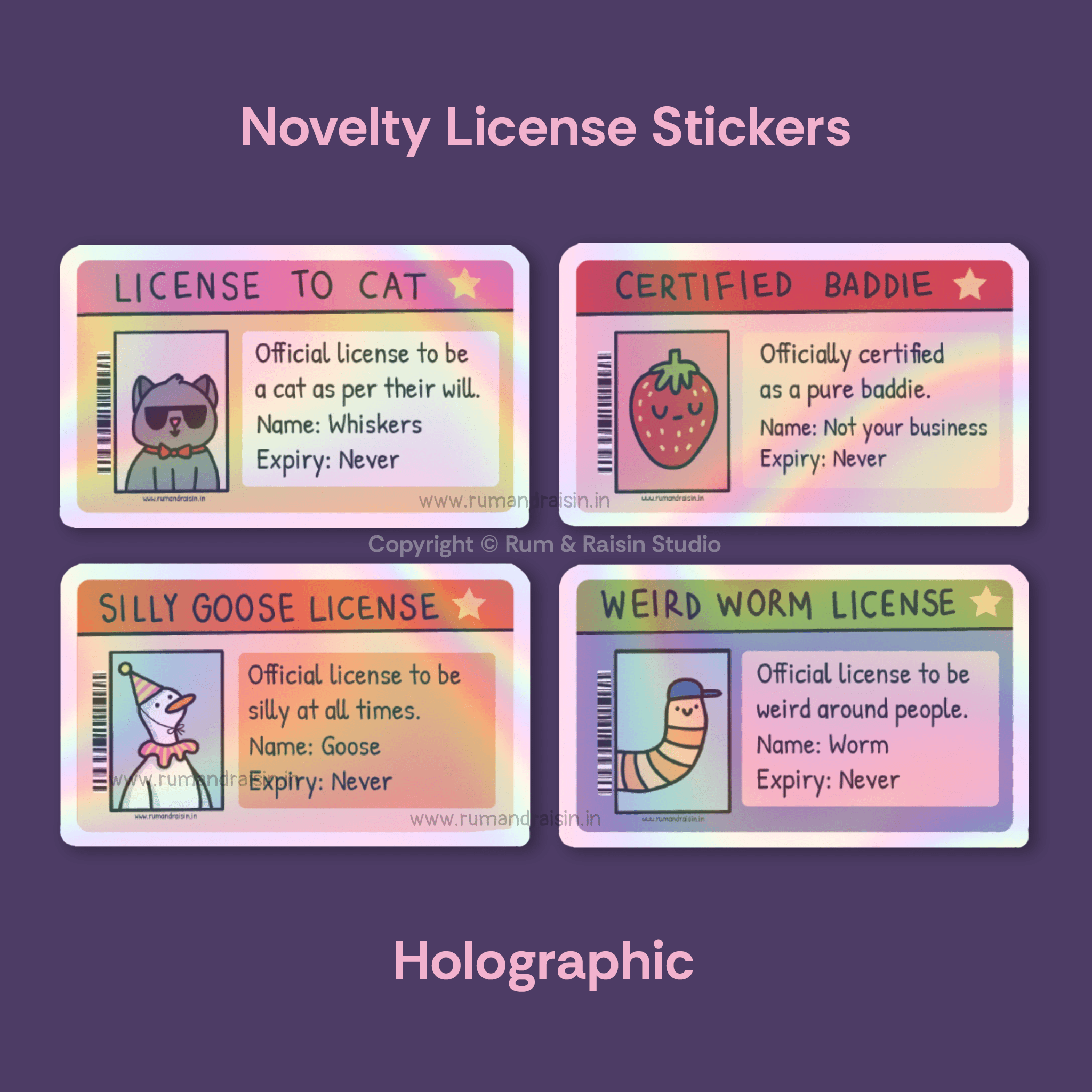 Novelty License: Holographic Stickers - Rum and Raisin Studio