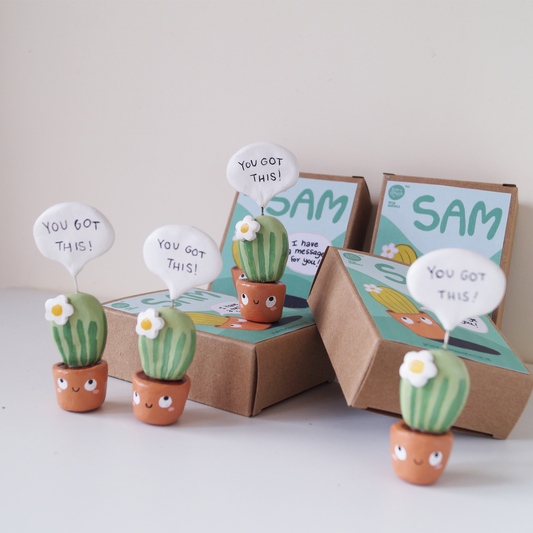 Wise Cacti Collection